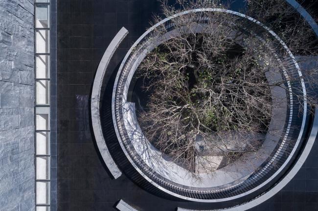 BIM建筑|湖泊下阅读，树影行过的时间 / 水相设计