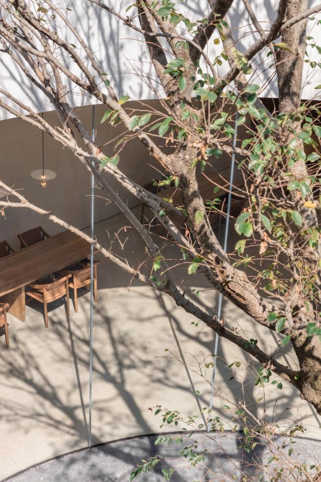 BIM建筑|湖泊下阅读，树影行过的时间 / 水相设计