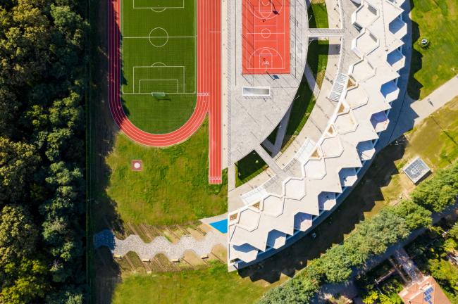 BIM建筑|植入森林——德布勒森国际学校 / BORD建筑工作室