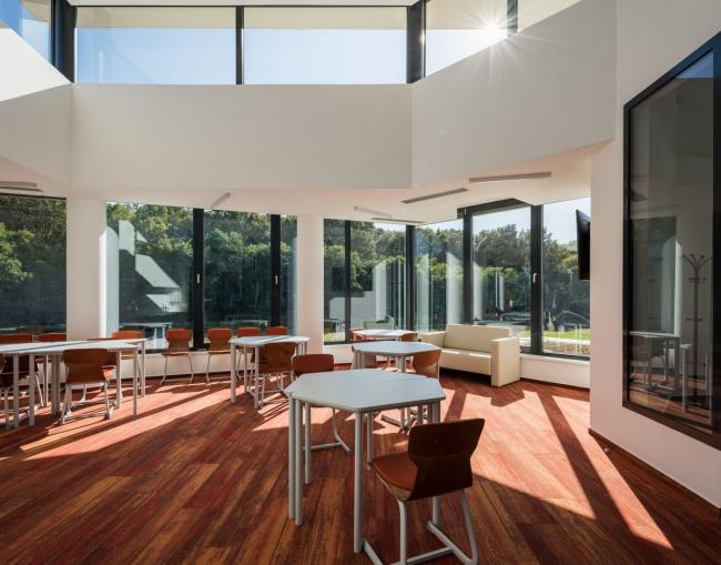 BIM建筑|植入森林——德布勒森国际学校 / BORD建筑工作室