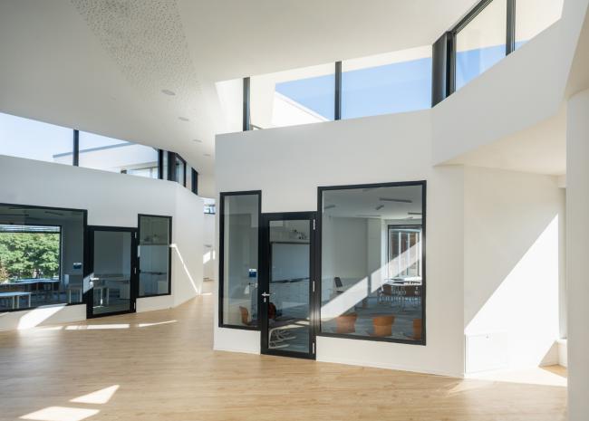 BIM建筑|植入森林——德布勒森国际学校 / BORD建筑工作室