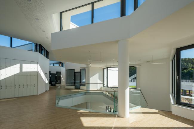 BIM建筑|植入森林——德布勒森国际学校 / BORD建筑工作室