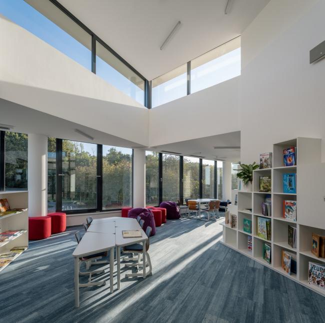 BIM建筑|植入森林——德布勒森国际学校 / BORD建筑工作室