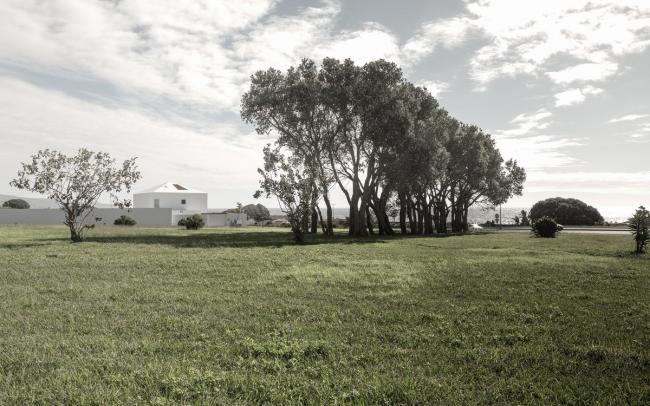 BIM建筑|于现实的包围中仰望天空：葡萄牙 NVC 住宅 / Salworks