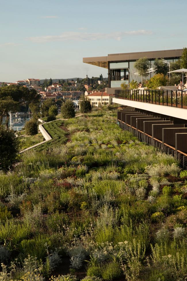 BIM建筑|曲折叠退，纵享海天一色：罗维尼公园大酒店 / 3LHD