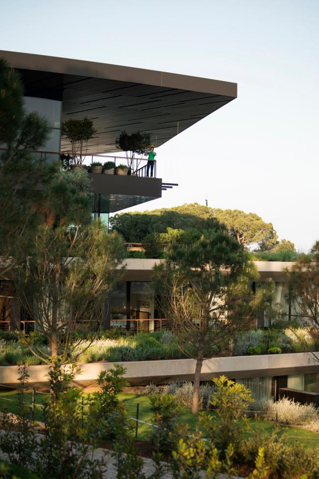 BIM建筑|曲折叠退，纵享海天一色：罗维尼公园大酒店 / 3LHD