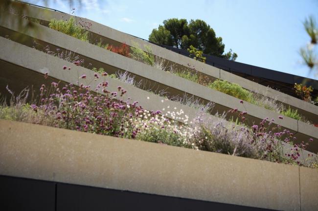 BIM建筑|曲折叠退，纵享海天一色：罗维尼公园大酒店 / 3LHD