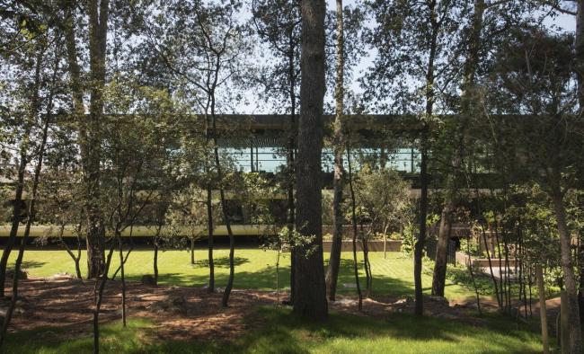 BIM建筑|曲折叠退，纵享海天一色：罗维尼公园大酒店 / 3LHD