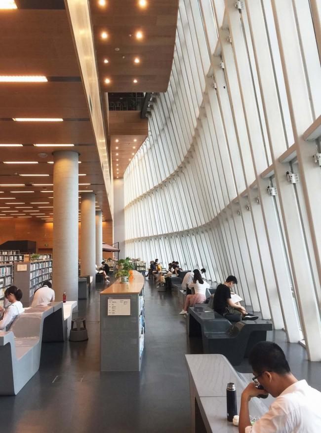 BIM建筑|深圳宝安文化综合体 / 严迅奇建筑师事务所