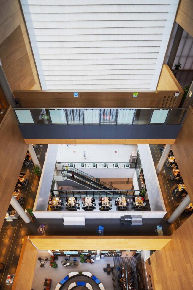 BIM建筑|深圳宝安文化综合体 / 严迅奇建筑师事务所