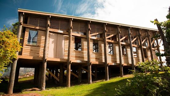 BIM建筑|MVRDV设计“盆栽植物表面”别墅