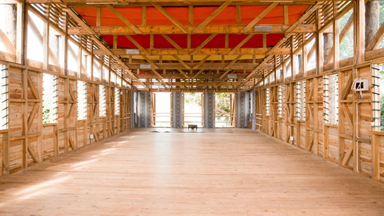 BIM建筑|MVRDV设计“盆栽植物表面”别墅