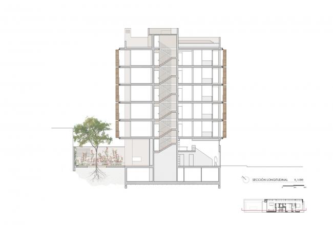 BIM建筑|光影流转间带来温暖质感——西班牙四友公寓