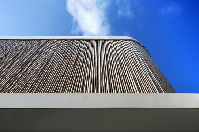 BIM建筑|热带中的现代之家：“竹帘”住宅