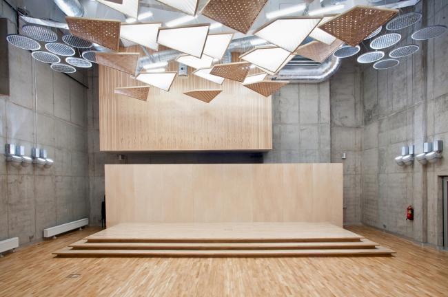 BIM建筑|簇拥嵌套的三角草坡顶“小房子”——东拉脱维亚创意服务中心 / SAALS