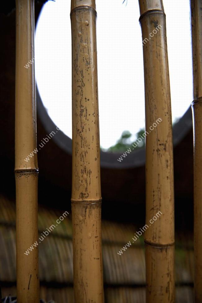 BIM建筑|似轻柔的山风拂过：武隆归原小镇茶亭 / 纬图设计机构