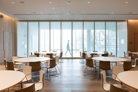 BIM建筑|梦幻建筑工作室在山坡上设计“香港芝加哥大学中心”