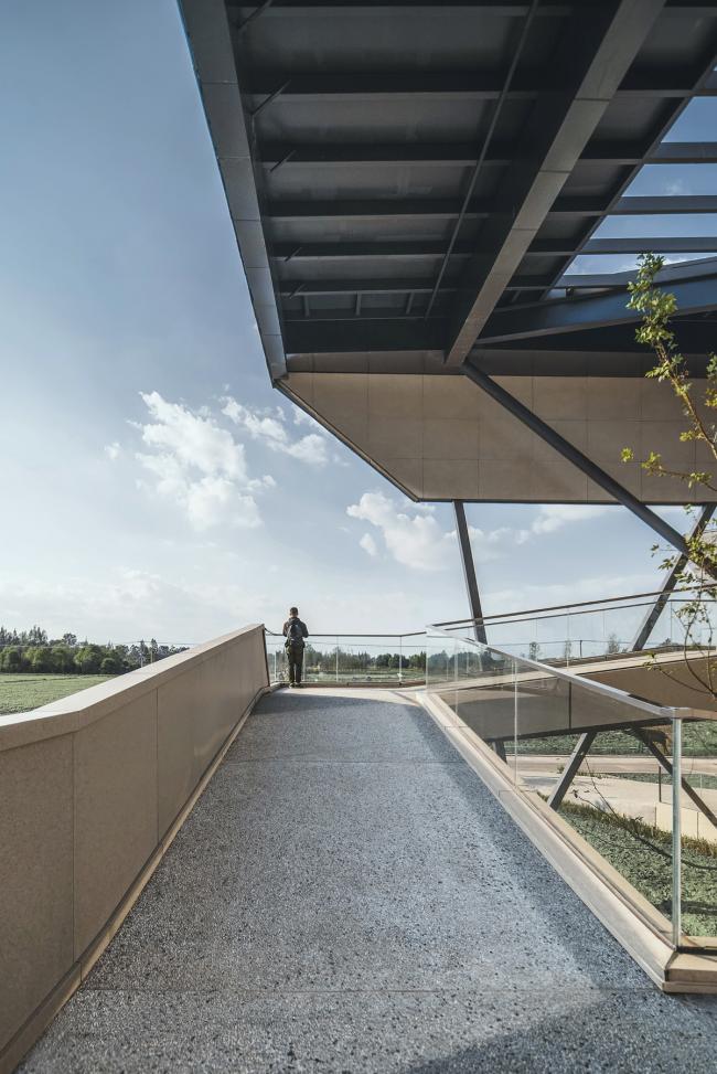 BIM建筑|大邑农科基地展示中心 / 成都天华西南建筑设计有限公司（杭州XXL设计团队）