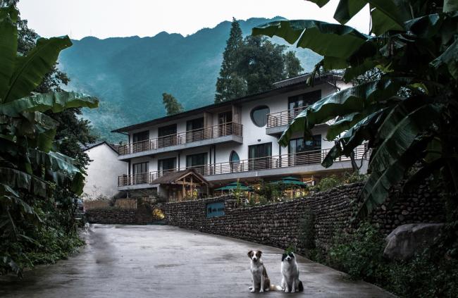 BIM建筑|安吉山川乡居 / 上海善祥建筑设计有限公司