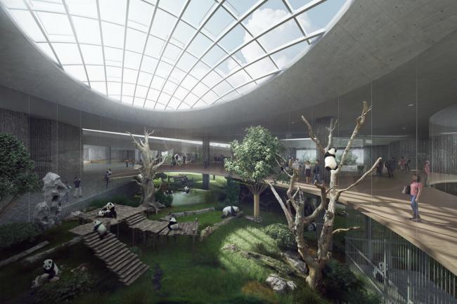 BIM建筑|天华建筑创作工作室宣布“大熊猫基地星星产房”进入施工图阶段