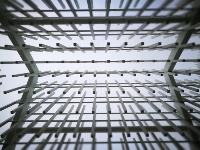 BIM建筑|成都中法科技园教堂，融于紫色薰衣草庄园