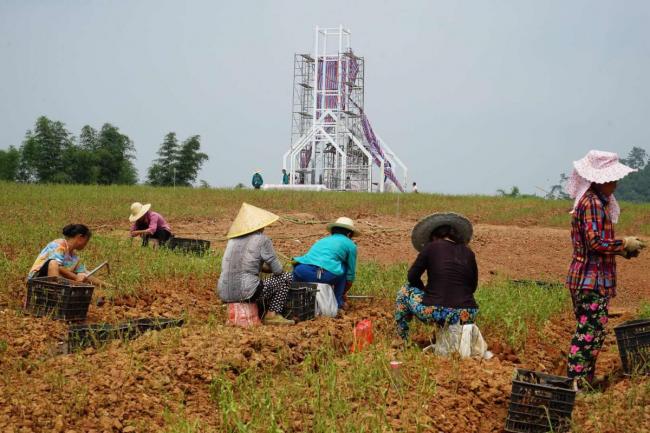 BIM建筑|成都中法科技园教堂，融于紫色薰衣草庄园