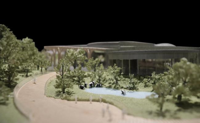 BIM建筑|天华建筑创作工作室宣布“大熊猫基地星星产房”进入施工图阶段