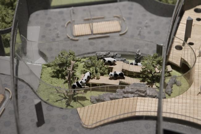 BIM建筑|天华建筑创作工作室宣布“大熊猫基地星星产房”进入施工图阶段