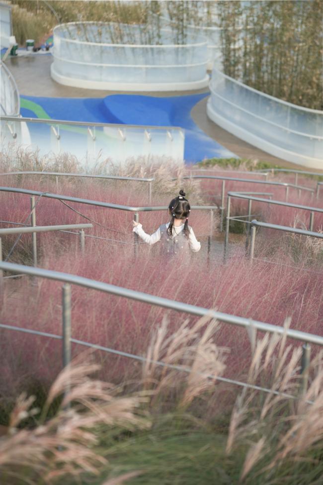 BIM建筑|立体流动的花园——旭辉甜甜圈幼儿园 / 天华建筑创作工作室