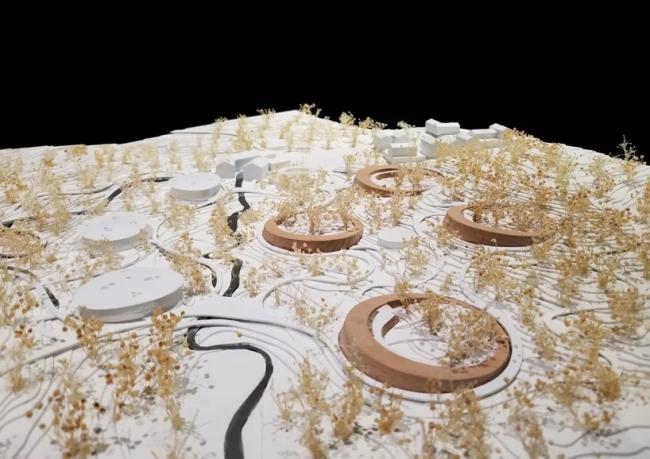 BIM建筑|成都大熊猫国际研究与繁育中心熊猫馆方案 / EID建筑事务所