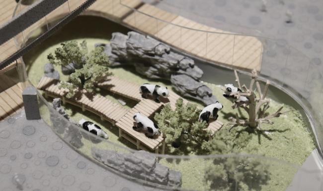 BIM建筑|天华建筑创作工作室宣布“大熊猫基地星星产房”进入施工图阶段