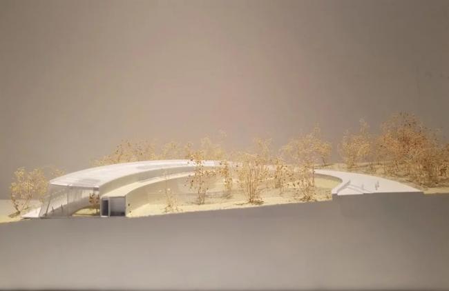 BIM建筑|成都大熊猫国际研究与繁育中心熊猫馆方案 / EID建筑事务所