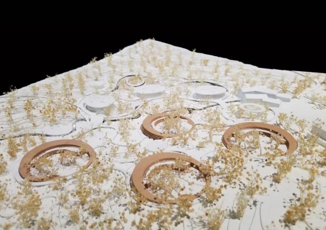 BIM建筑|成都大熊猫国际研究与繁育中心熊猫馆方案 / EID建筑事务所