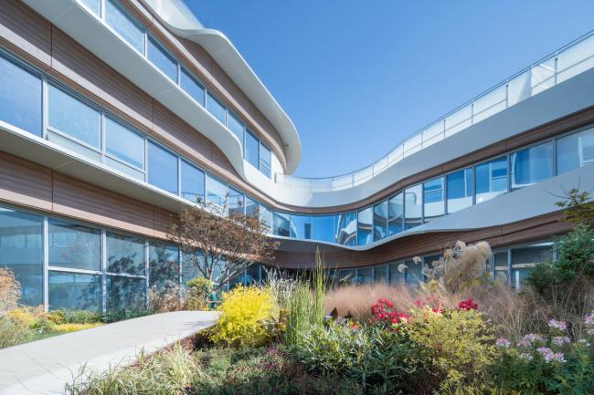 BIM建筑|立体流动的花园——旭辉甜甜圈幼儿园 / 天华建筑创作工作室