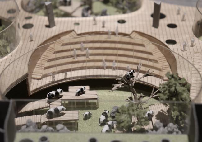 BIM建筑|天华建筑创作工作室宣布“大熊猫基地星星产房”进入施工图阶段