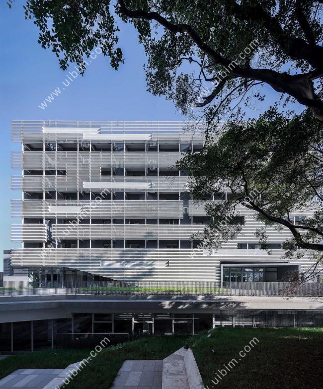 BIM建筑|深圳南山外国语学校科华学校 / Link-Arc建筑师事务所