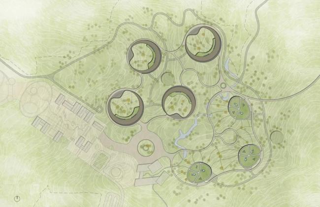 BIM建筑|成都大熊猫国际研究与繁育中心熊猫馆方案 / EID建筑事务所