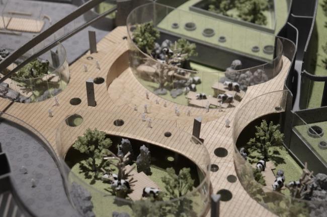 BIM建筑|天华建筑创作工作室宣布“大熊猫基地星星产房”进入施工图阶段