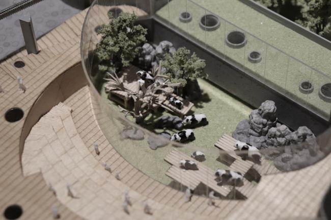 BIM建筑|天华建筑创作工作室宣布“大熊猫基地星星产房”进入施工图阶段