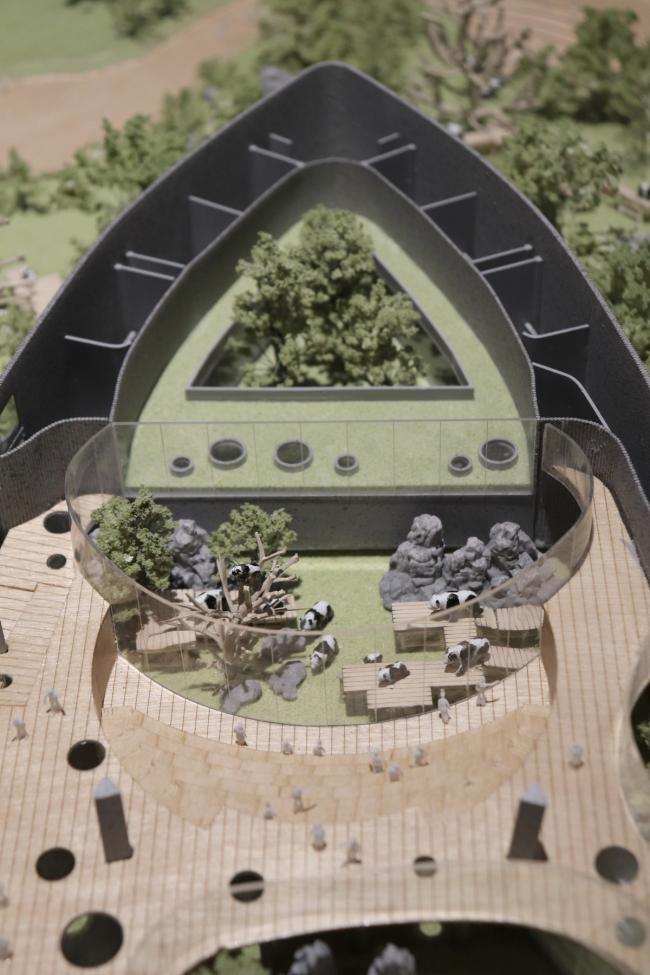 BIM建筑|天华建筑创作工作室宣布“大熊猫基地星星产房”进入施工图阶段