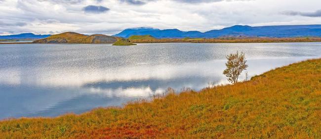 BIM建筑|冰岛黑熔岩游客中心方案设计