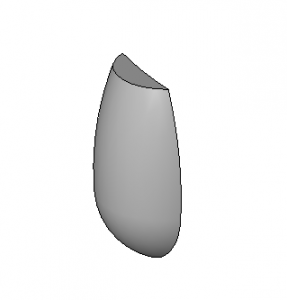 BIM资料|Revit族库-萝卜头.rfa