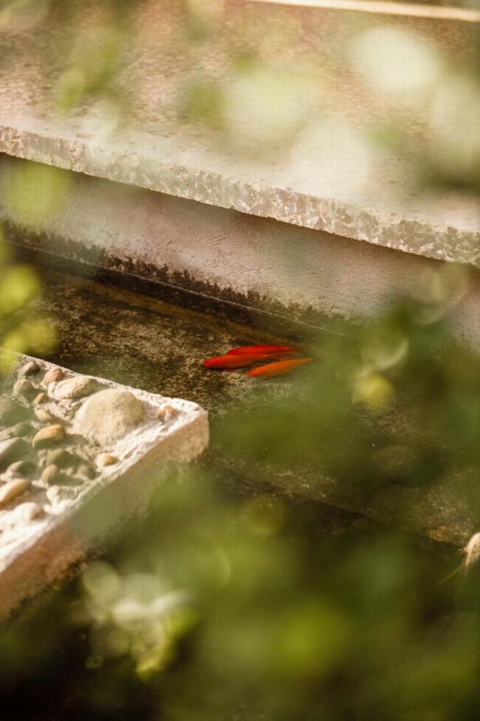 BIM建筑|一方院落，隐于悠然远山：云南曲靖赵宅 / 青岛川拓建筑设计工作室