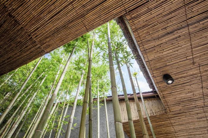 BIM建筑|“同在屋檐下”：小石村文化大院 / 时地建筑工作室