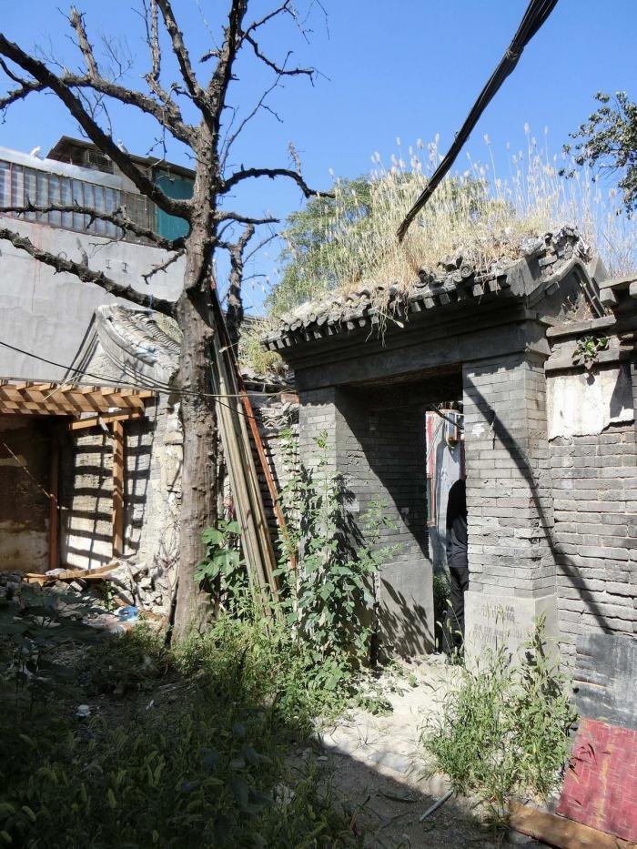 BIM建筑|七舍合院 / 建筑营设计工作室