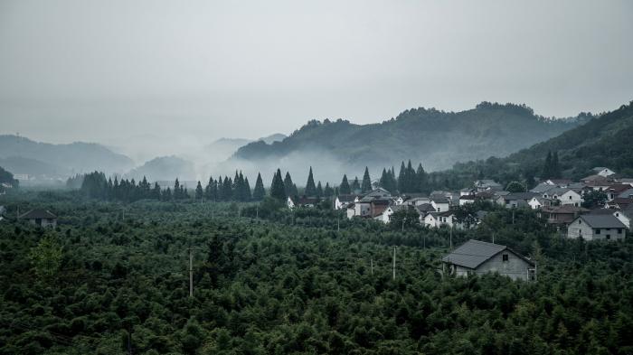 BIM建筑|远眺山麓炊烟人家——杭州偶寄精品民宿酒店 / 是合设计工作室