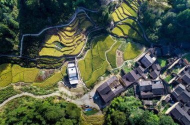 BIM建筑|2019年度最美书店——先锋厦地水田书店 / 迹·建筑事务所（TAO）-BIM建筑网