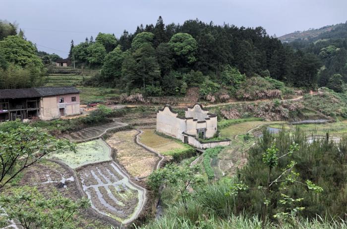 BIM建筑|2019年度最美书店——先锋厦地水田书店 / 迹·建筑事务所（TAO）