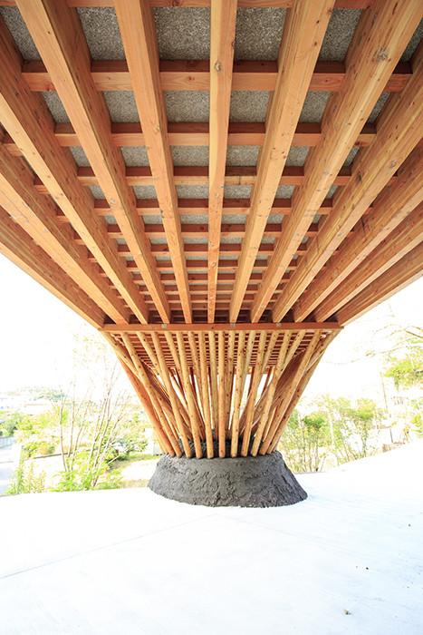 BIM建筑|嵌入地形的“V”形木屋 / ADX