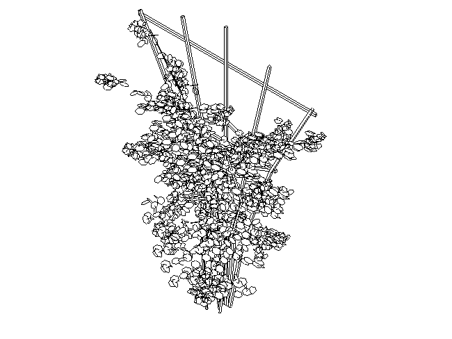 BIM资料|Revit族库-建筑-场地建模族-植物（rfa，共49个）